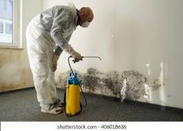 Why You Should Choose Our Mold Remediation Services in Cornwall, PA